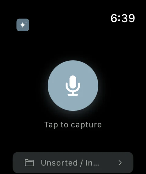 The capture screen on Apple Watch — one tap to start recording